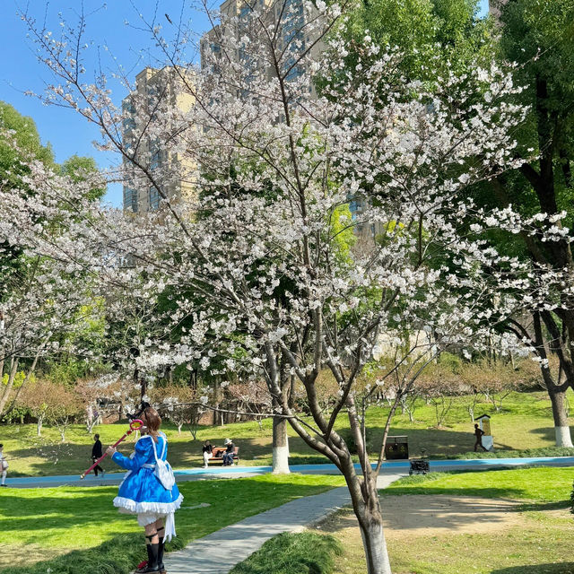 3.20實拍！武漢這個公園美到封神
