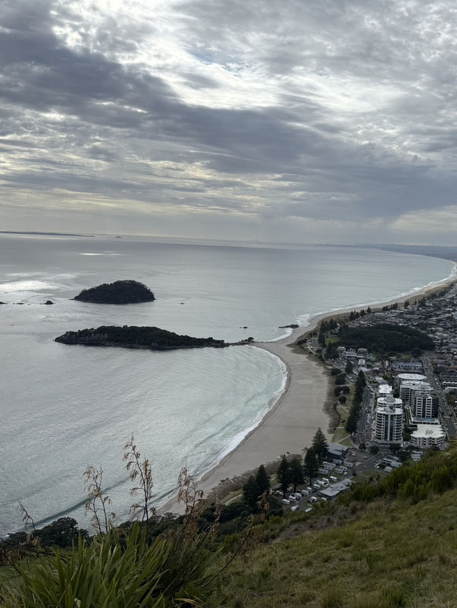 A Morning Walk Up The Mount, A Must Do In Tauranga NZ