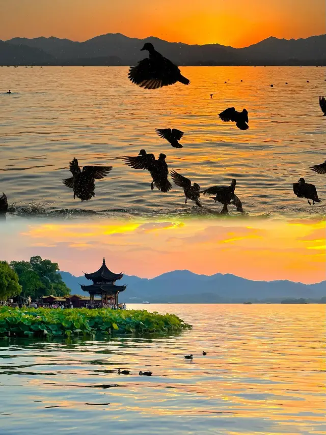 05 여대생의 서호 당일치기 여행! 최강 공략법 대공개