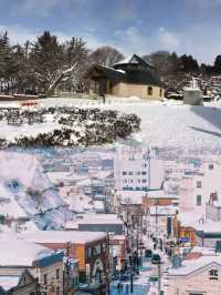 現在的北海道之旅張力拉滿，是時候去看雪啦