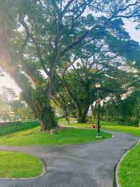 探索大阪的堺市大仙公園