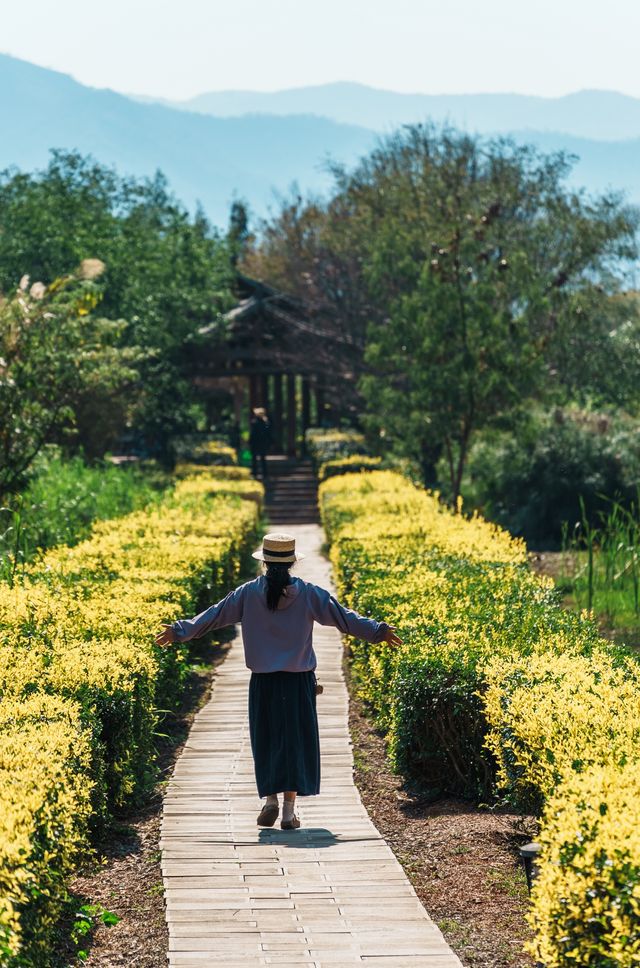 低調又小眾的異龍湖石屏旅行意外的收穫