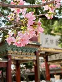 寶墨園，超級精美的嶺南園林✨