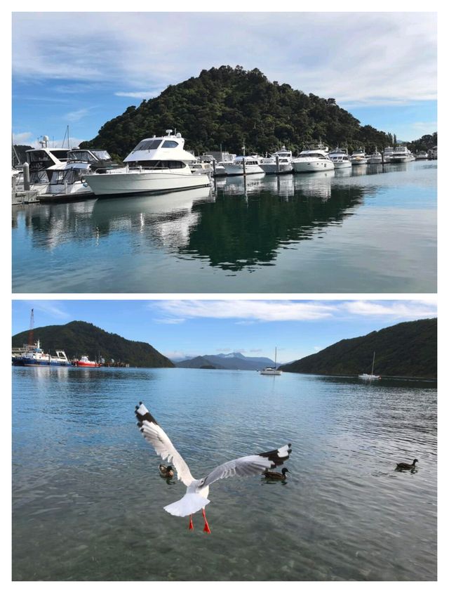 在新西蘭小眾寶藏地，邂逅皮克頓的浪漫與自由。