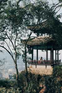 上海周邊｜桐廬桐君山，春天就是要上春山
