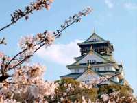 🌸Trip接送機|日本春日出遊指南·關西篇1