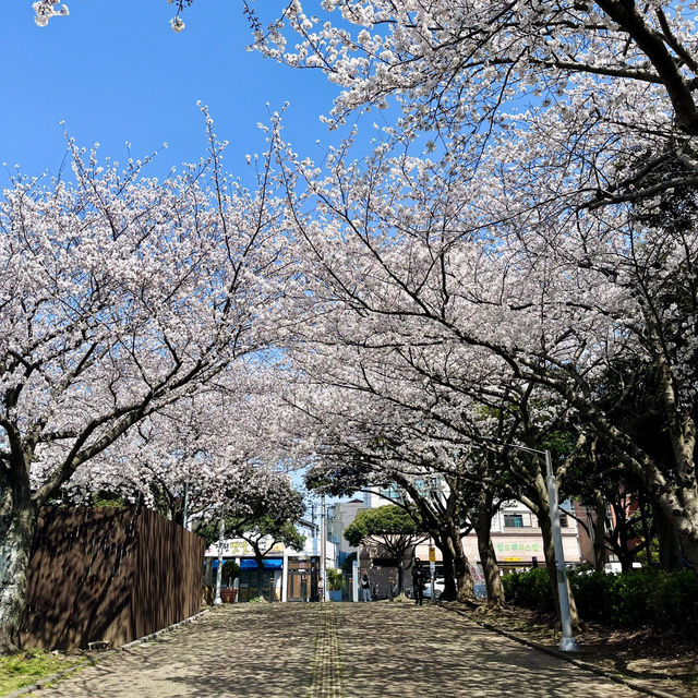 📍新山公園 | 體驗在地生活的寶藏角落