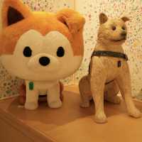 🐕可愛暴擊‼東京·澀谷✅竟然這麼可愛