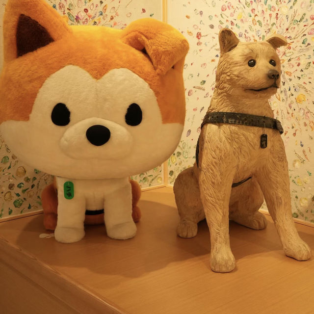 🐕可愛暴擊‼東京·澀谷✅竟然這麼可愛