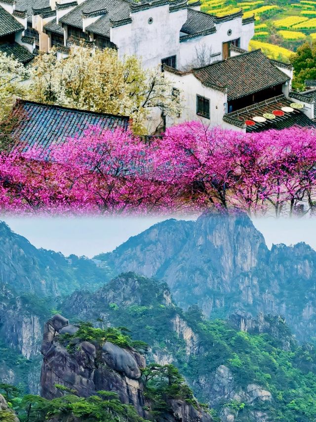 來一場與黃山的約會，邂逅四絕之美