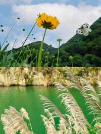 山前山後都是風景，有風無風都很自由——馬嶺古道