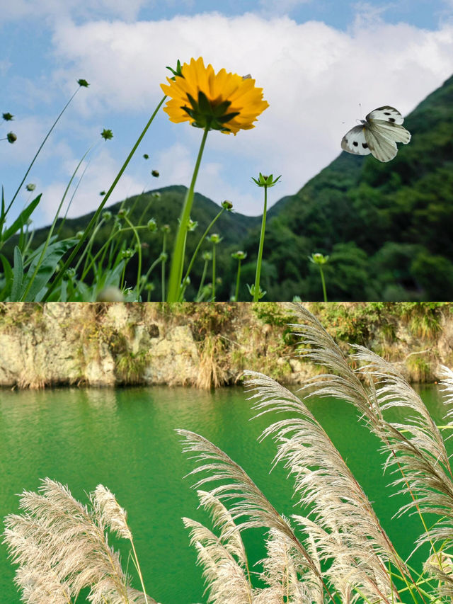 山前山後都是風景，有風無風都很自由——馬嶺古道