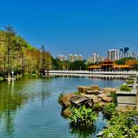 深圳原來有個荔枝公園？