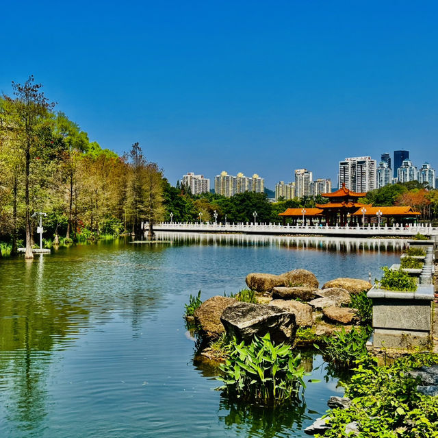 深圳原來有個荔枝公園？