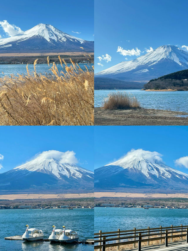 一篇講清楚富士山旅遊打卡景點攻略
