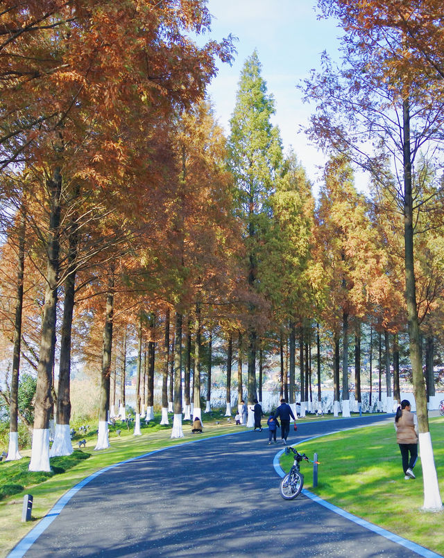 寧波漫遊記｜山水與人文交織的寶藏城市