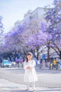 西昌2025藍花楹賞花攻略 紫色限定浪漫