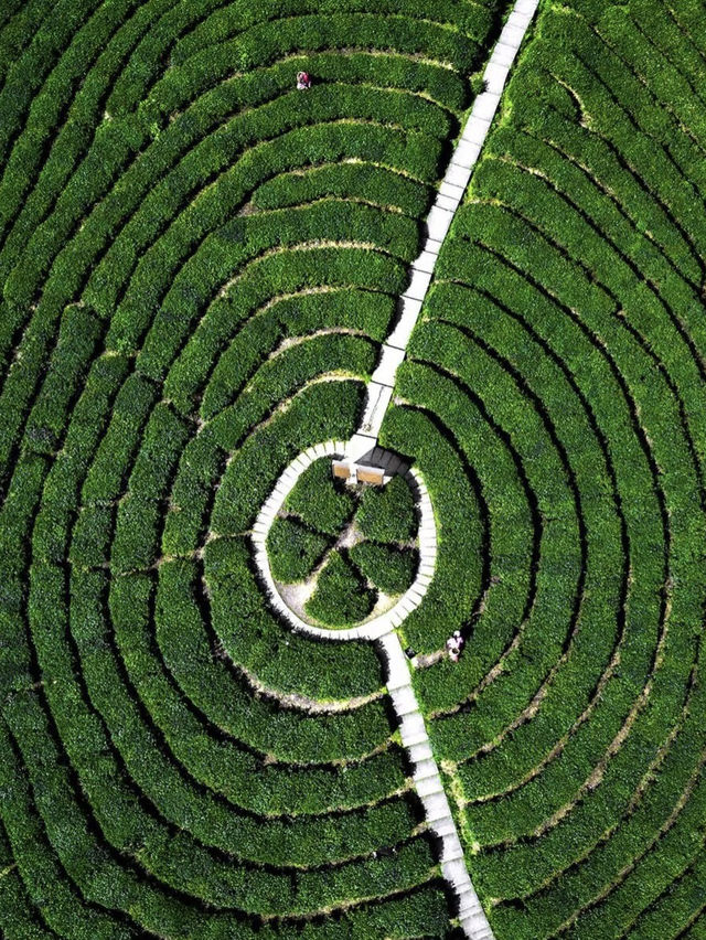 Buddies, you won’t believe this place!