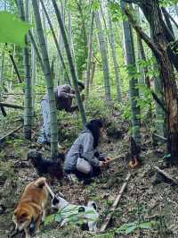五一假期告別擁擠人潮！在皖南川藏線化身快樂村夫。