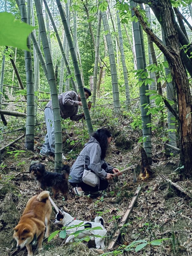 五一假期告別擁擠人潮！在皖南川藏線化身快樂村夫。