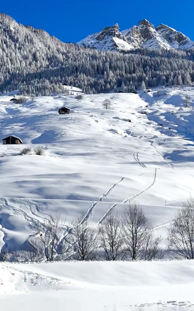雪色格林德瓦：阿爾卑斯山下的夢幻冬韻