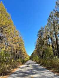五一假期陽泉市自駕蘑阿公路旅遊攻略