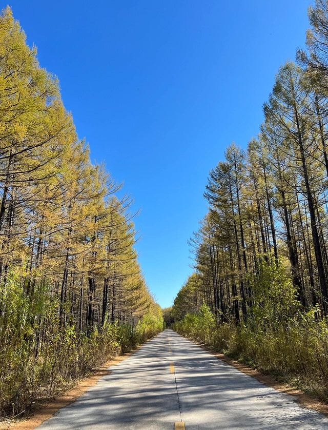五一假期陽泉市自駕蘑阿公路旅遊攻略