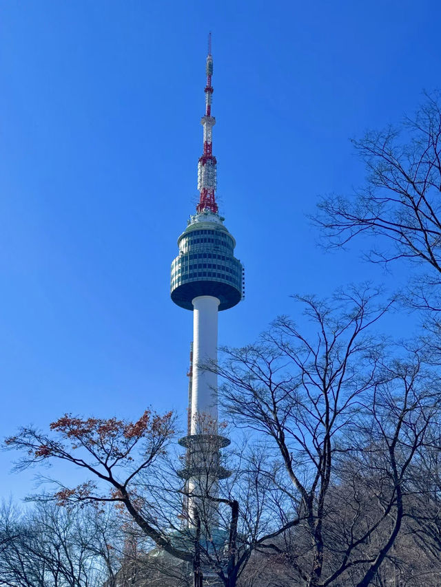 高塔之上，愛情微光
