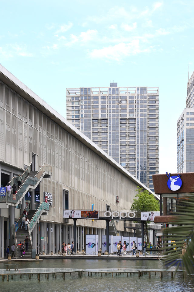 51小長假來寧波，第站建議直奔天一