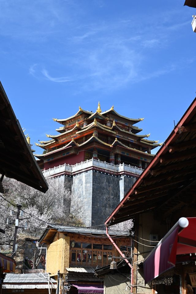 香格里拉麗江5日遊