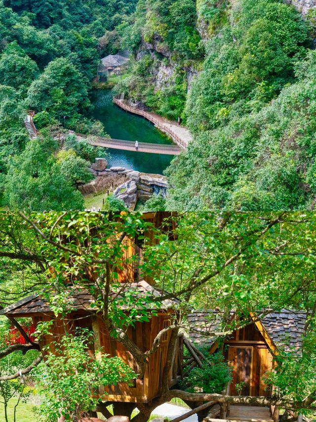 杭州小九寨——大奇山國家森林公園保姆級攻略