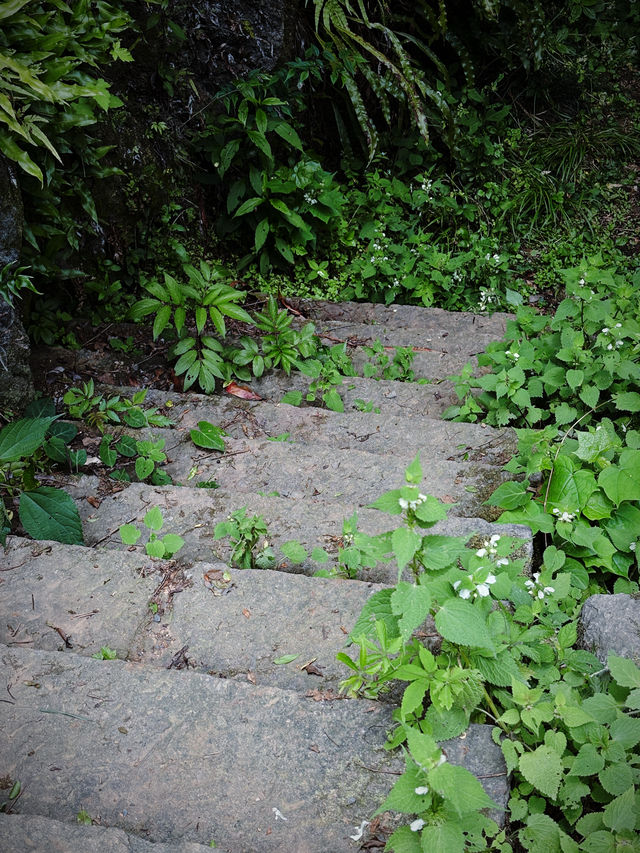探尋洞霄宮：一場與歷史的低語