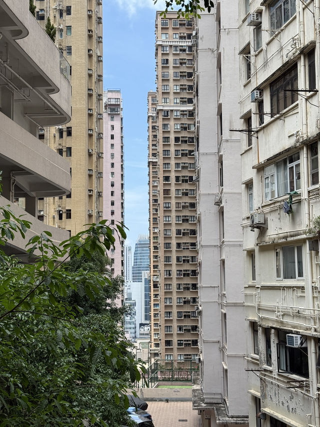 Central To Admiralty - Experience The Concrete Jungle Of Hong Kong 