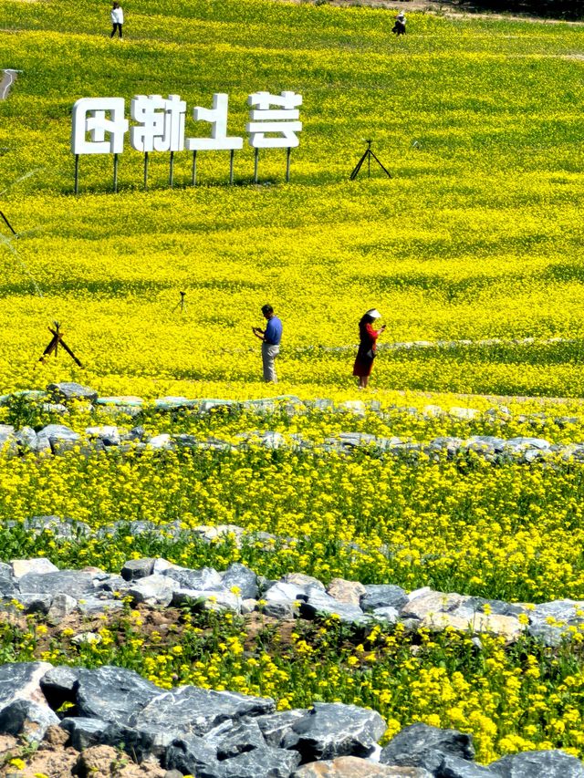 五一節快樂︱芸上梯田，雲下風景