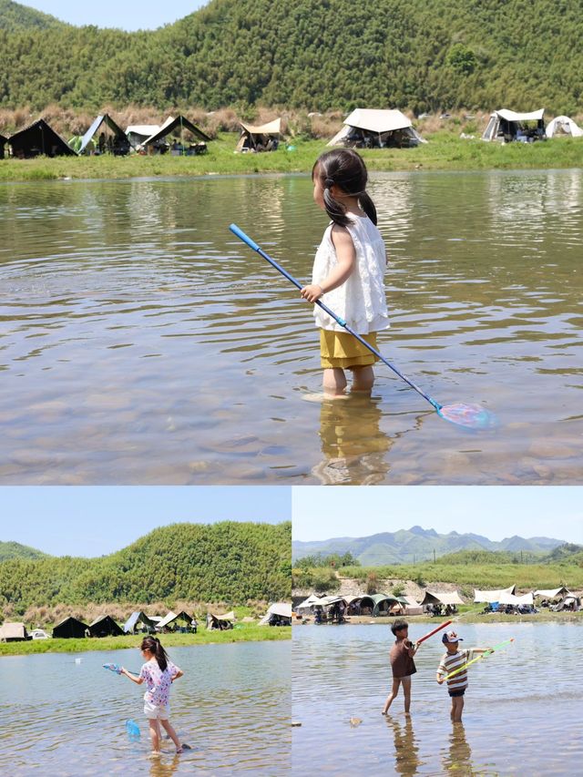 安吉$0野生露營地 遛娃自由