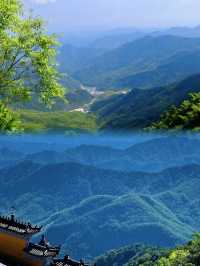 避暑都係要去山入面喔⛰️九宮山