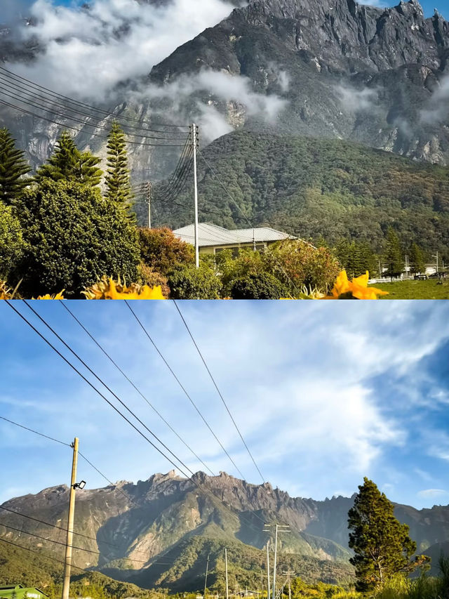 ## 亞庇：沙巴之心的野性呼喚