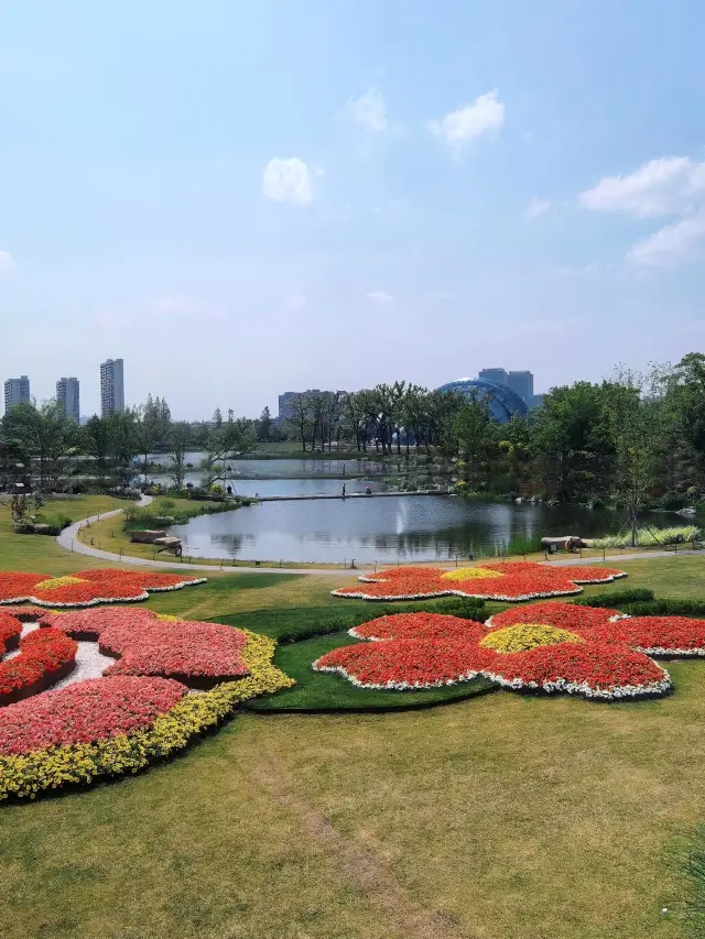 Avoid the crowds! A niche exploration of the Shanghai Botanical Garden International Flower Show
