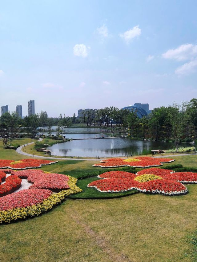 避開人潮！上海植物園國際花展小眾探秘