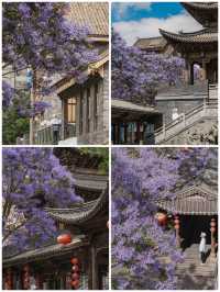 古風×藍紫｜富民上河院暴擊指南