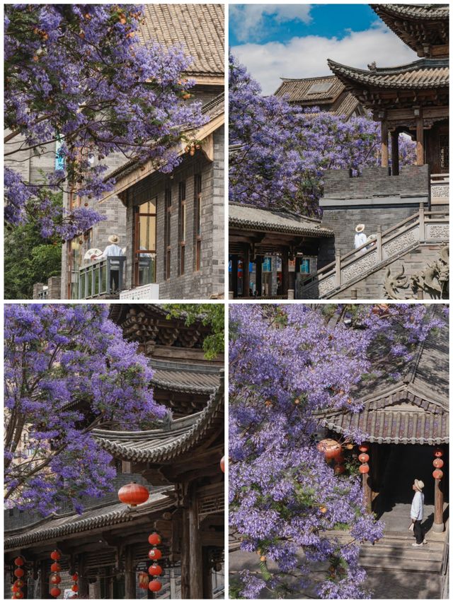 古風×藍紫｜富民上河院暴擊指南