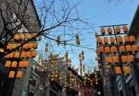 假期去湖南長卷咁玩!