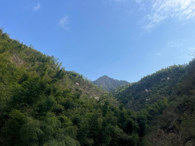 咸寧黃龍山