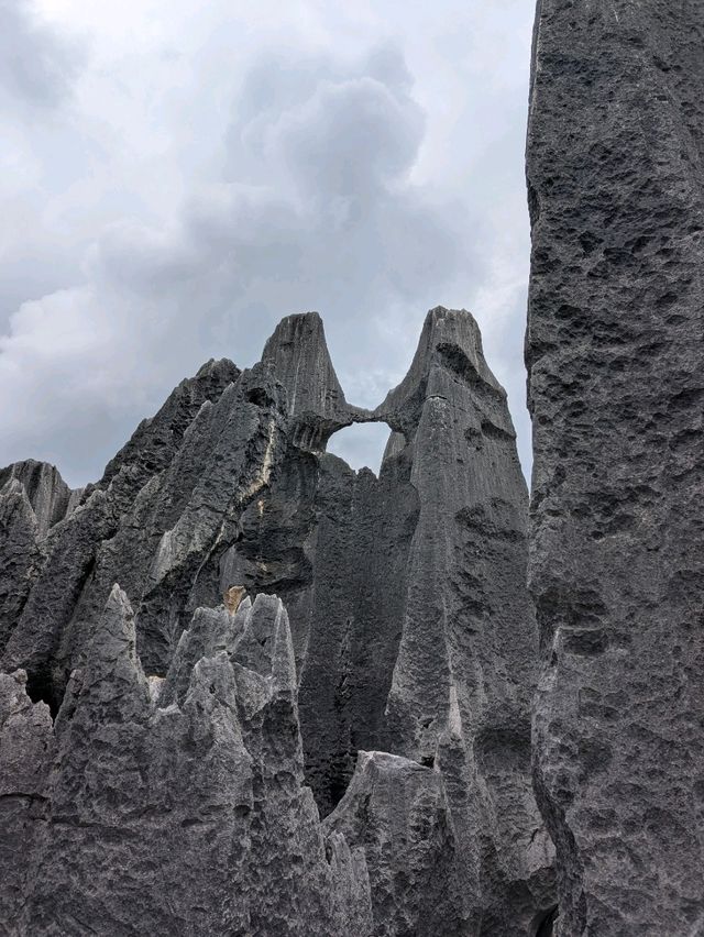 A Visit to The Stone Forests (and Stone Teeth) of Guilin 🏔️🌳