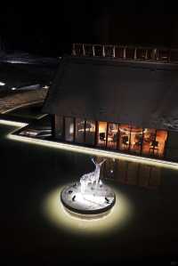 【新開酒店】洞爺湖鶴雅度假村光之歌