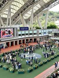 🐎沙田馬場駿星匯✨升級回歸