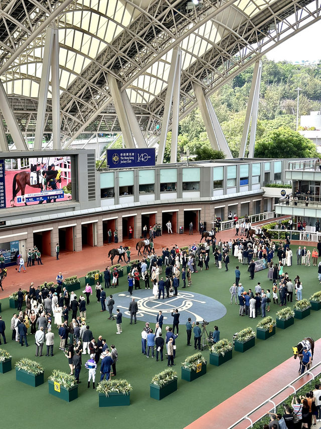 🐎沙田馬場駿星匯✨升級回歸