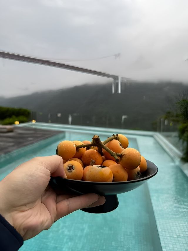 日啖枇杷三百顆，不辭長居黃果樹