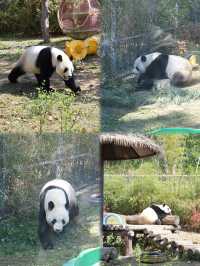 懶人式湊仔好去處——紫清湖旅遊區