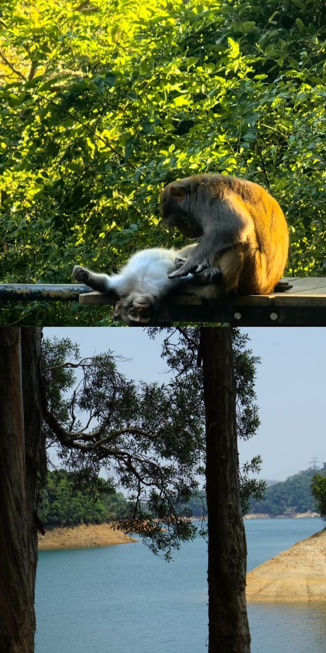 準備好闖進漫畫裡的治癒系公園了嗎？